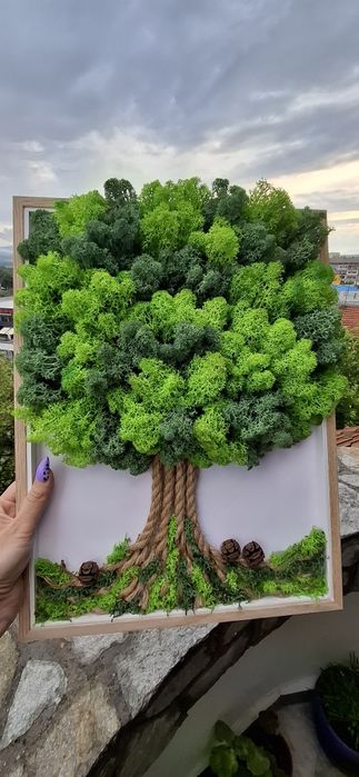 Дървото на живота от скандинавски мъх различни размери в рамка