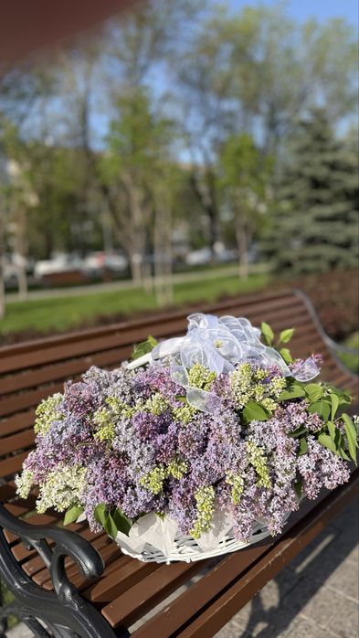 Сирень от 5 тыс свежие только