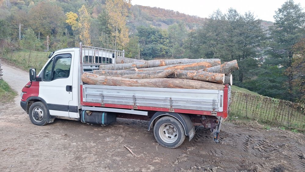 Lemn foc fag adus la domiciliu.