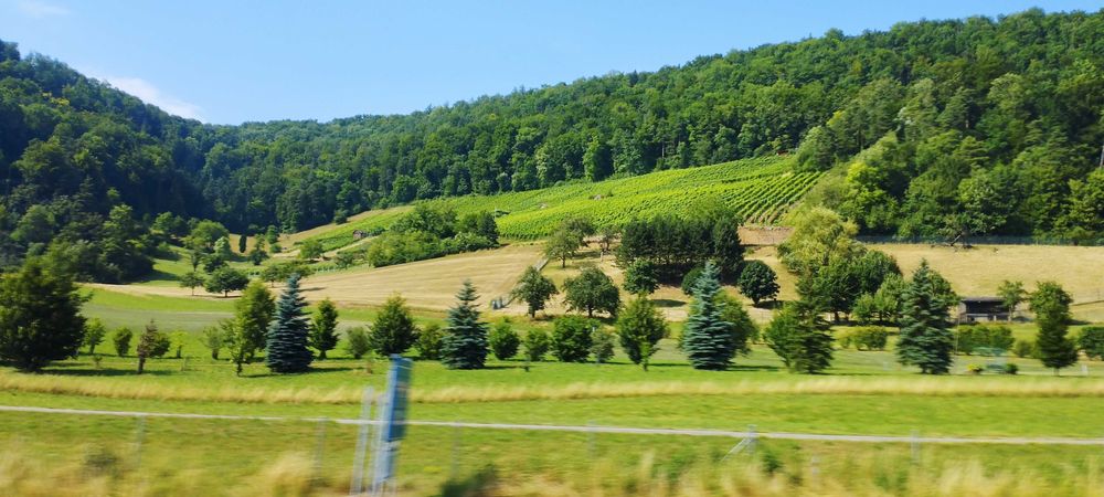 Тур фирма сотилади