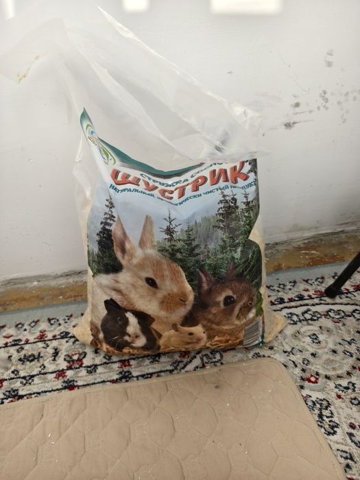 Продам двух хомяков