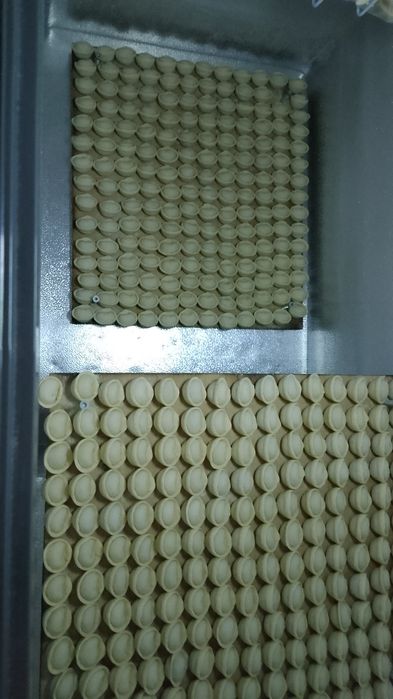 Домашние пельмени