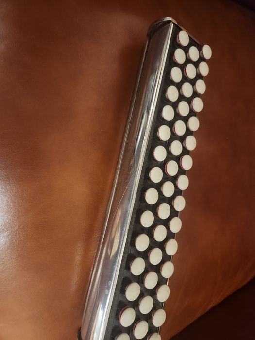 Instrument rar - Accordina