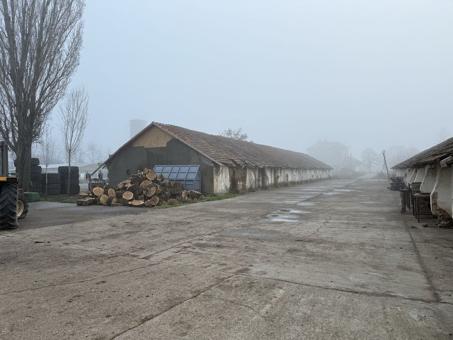 Spatii depozitare//44.000 mp// hale, bascula, moara, pista betonata.