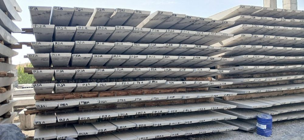 Rigel P1-A maxsuloti