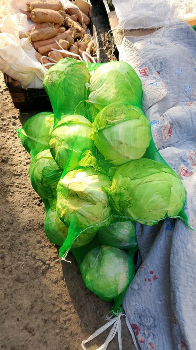 Продукты питания