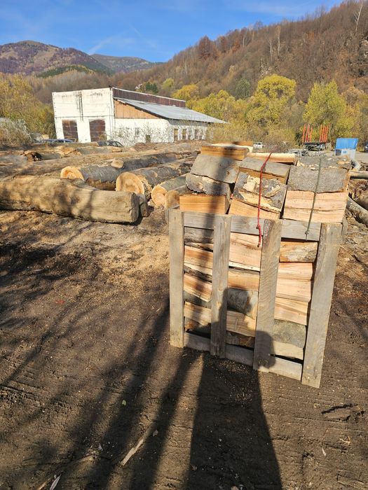 Lemn de foc esenta fag!