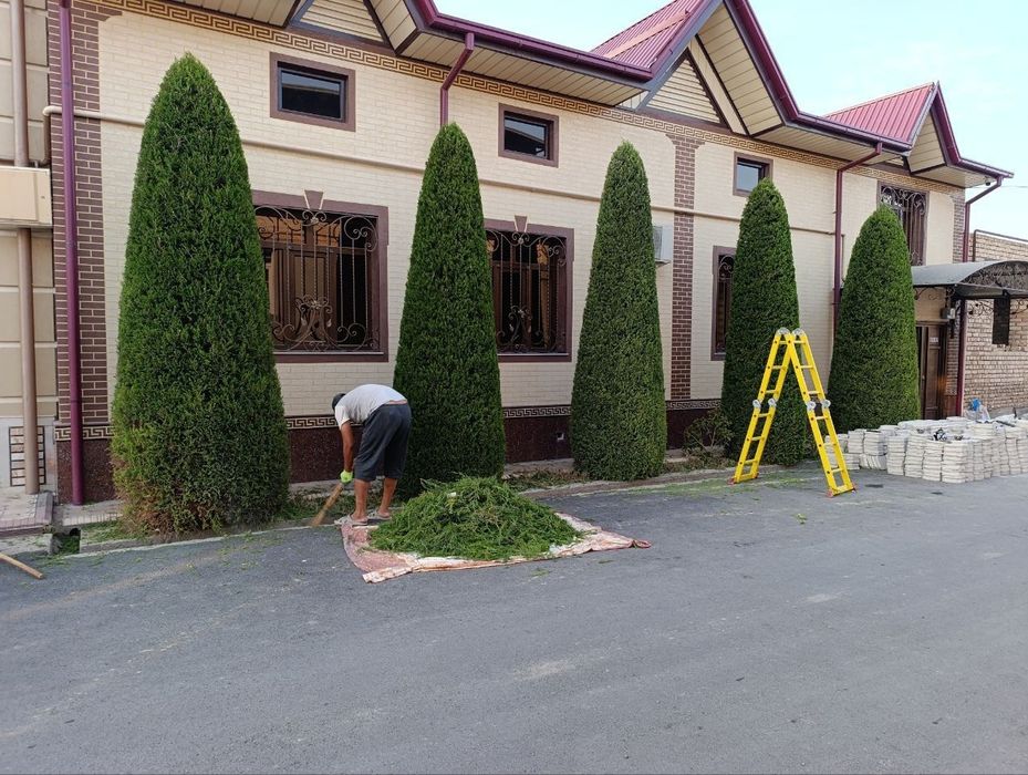 Садовник Богбон Ландшафтный дизай Ташкент