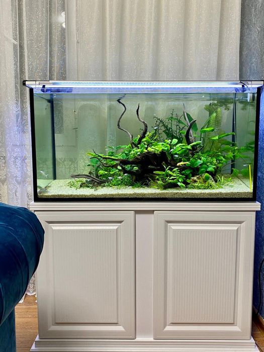 Изготовление аквариумов под ключ