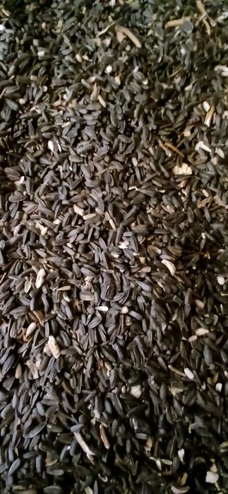 Cereale griu și floare