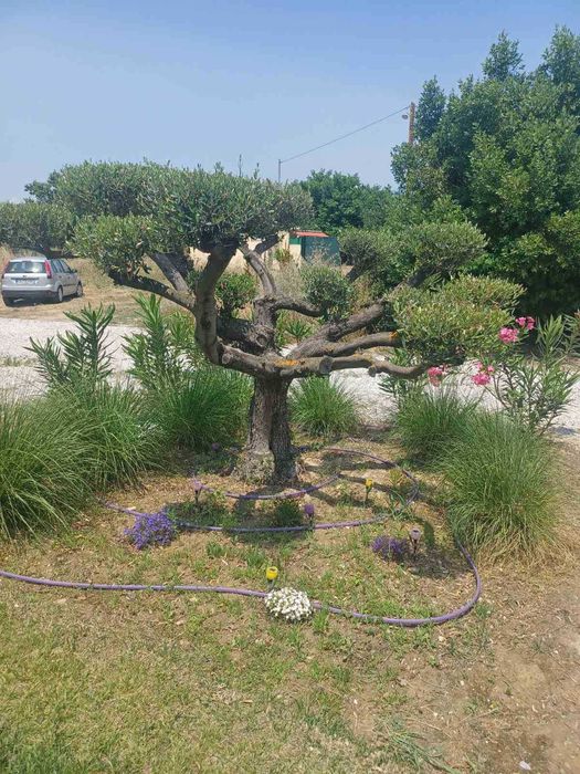 Продава нова лукс къща 72 м2 двор 557 м2 в Паралия Каряни, Гърция