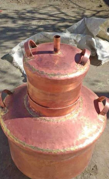 Cinfectionqm cazane pe cimanda