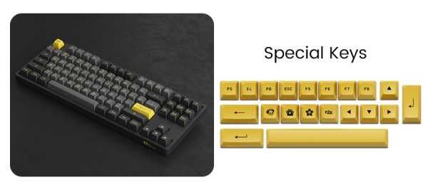 Akko Black & Gold 5087B Plus | TKL (80%) | Hot-Swap | RGB