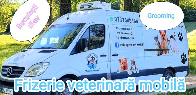 Tund câini și pisici la domiciliu,Frizerie veterinara Mobila