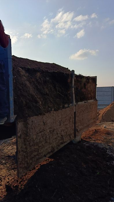 Пори нури гунг куй молдики