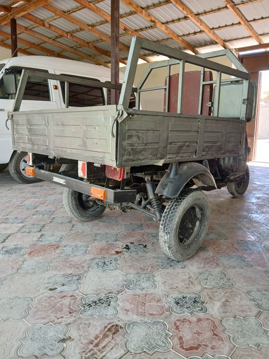 Муравей в хорошем состоянии