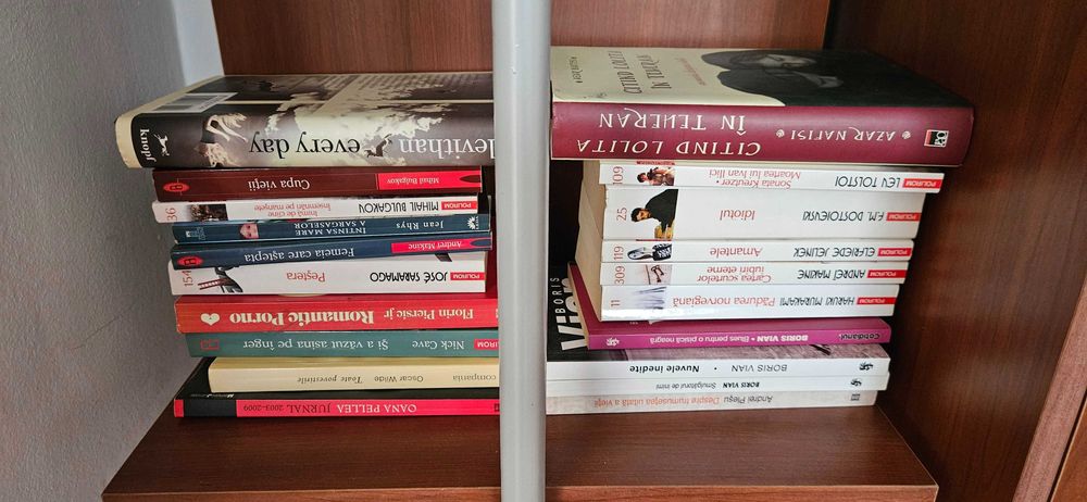 Biblioteca 100+ carti de autori variati