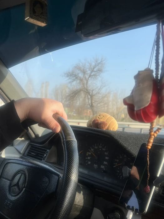 Мерседес 124 Е 250