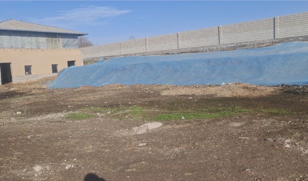 Donli siloslarimiz mavjud