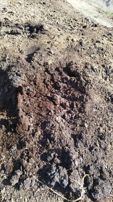 Продам хороший чернозём