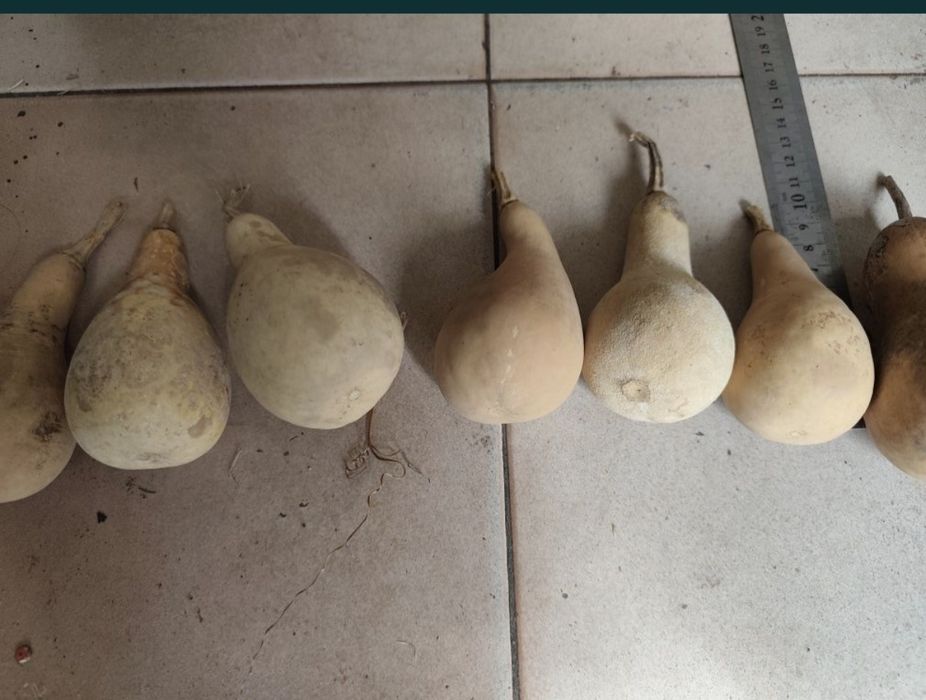 Кратуни за декорация и  Минзухарчета от филц