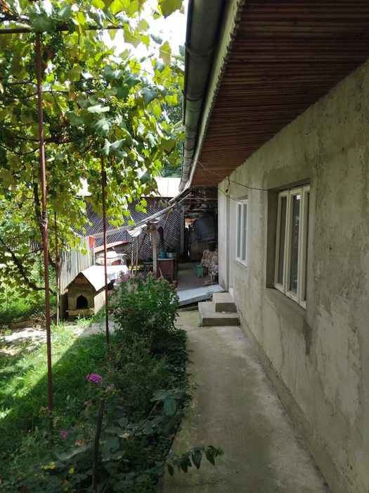 Locuinte pentru familii
