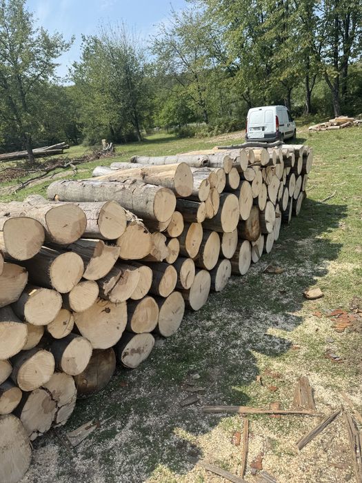 ‼️Lemne de foc esențe tari ‼️