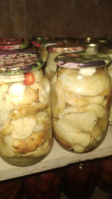 Продам Грибы Грузди маринованые