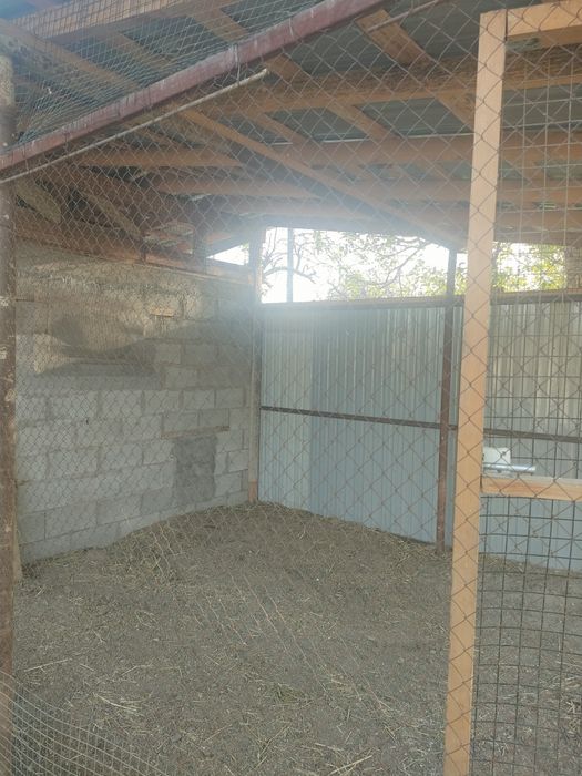 Дача, за Талгаром , ниже автобазы