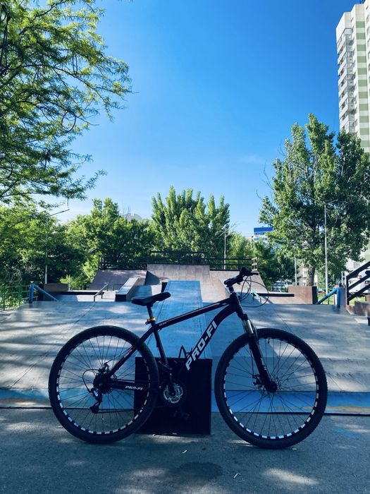 Велосипед PRO-FI mtb