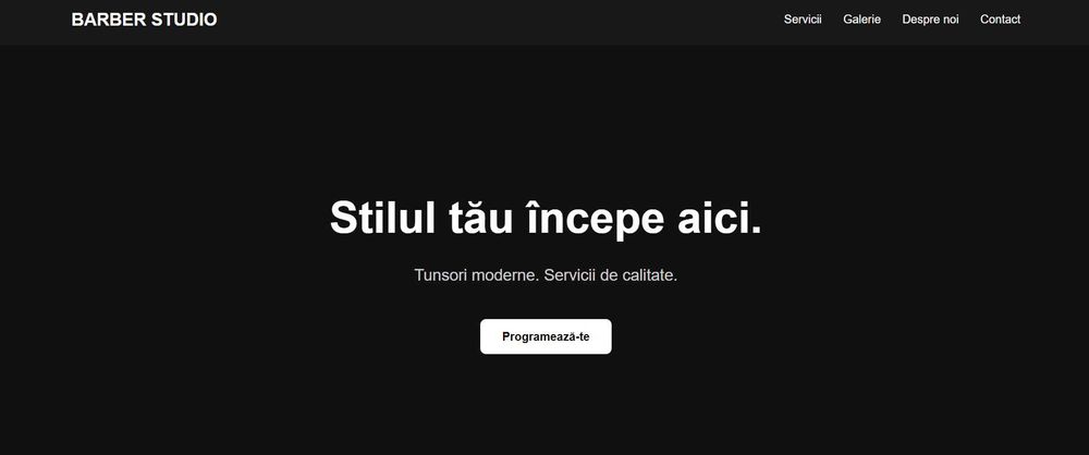 SITE-URI PROFESIONALE (pozele sunt doar exemple)