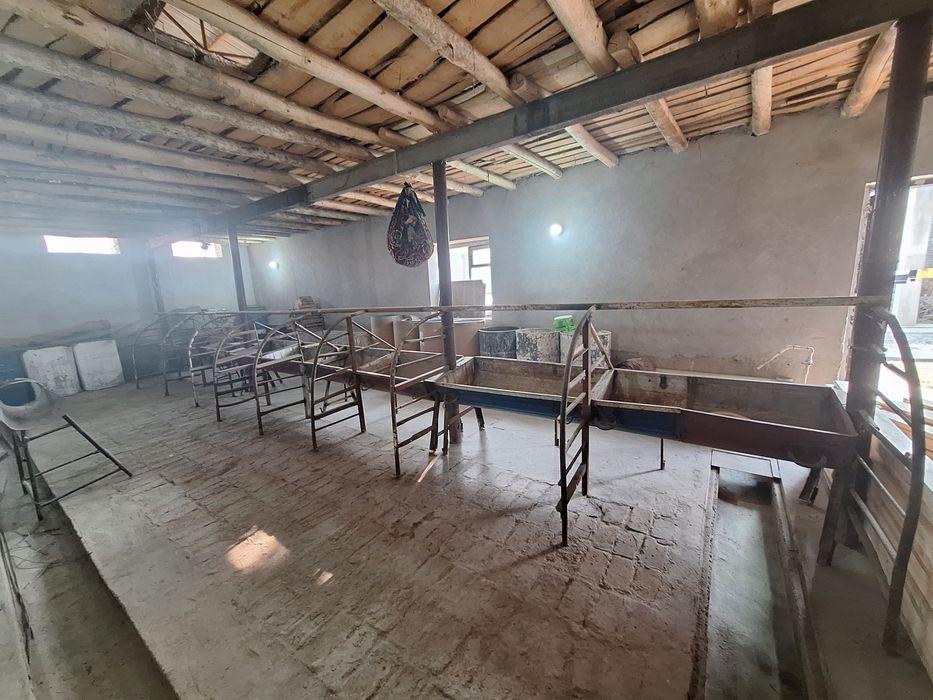 Охир пишик, ва мустахкам