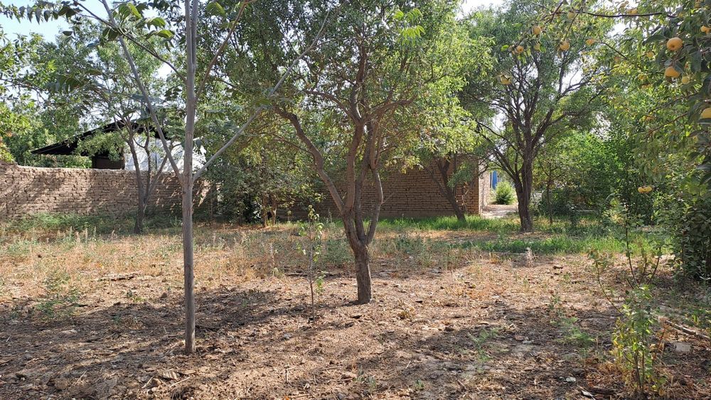 Yer  maydon sotiladi