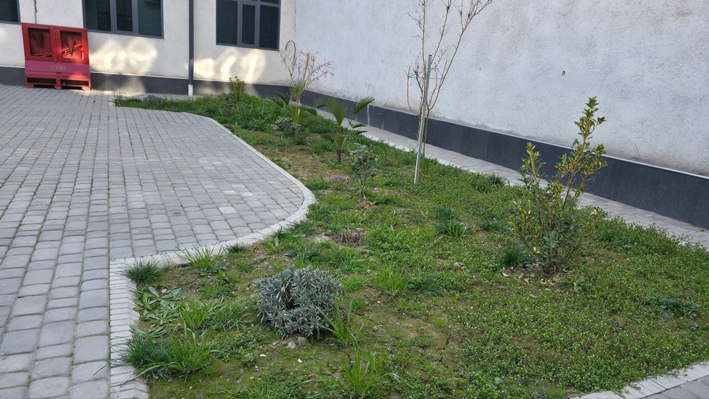 Сдаётся комплекс из 3-х зданий на закрытой территории