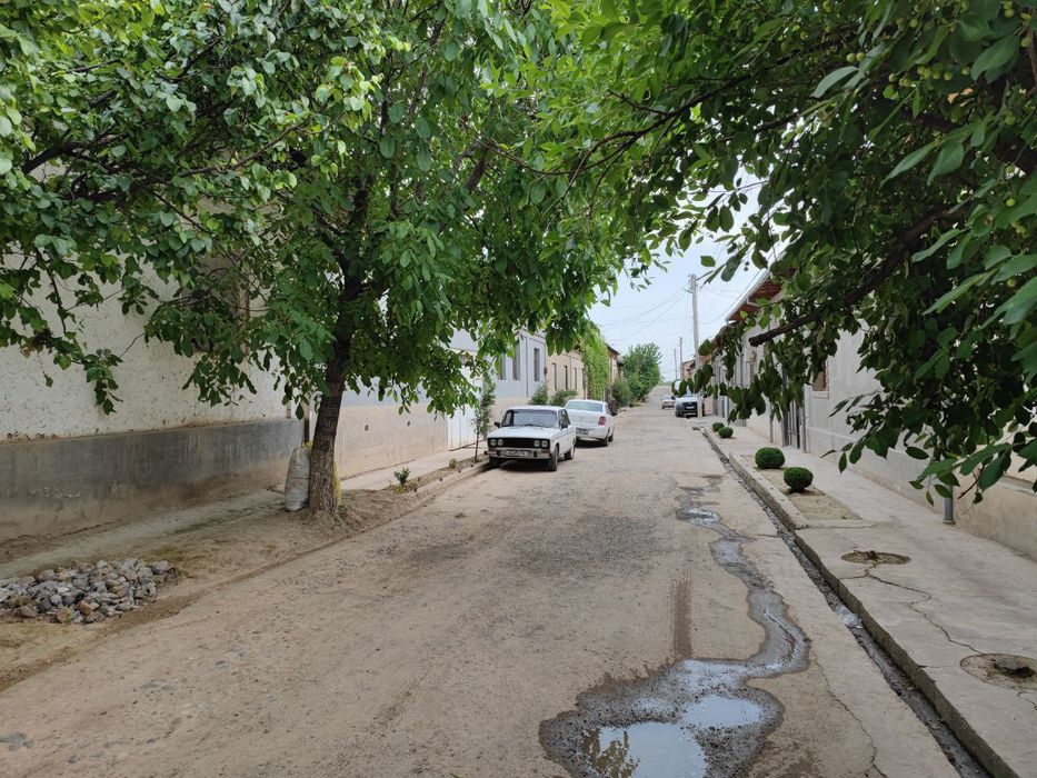 Срочна срочна сотаман Нарх келишамиз. Узимизники