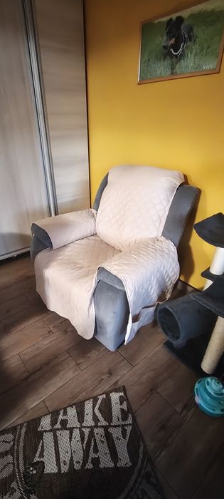 Doua fotolii cu recliner
