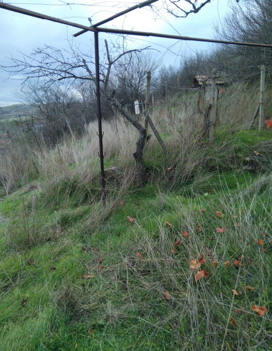 Продава се Къща в с. Бураново, Област Кюстендил - 68 кв.м за 600 €/кв.м - Снимка #7