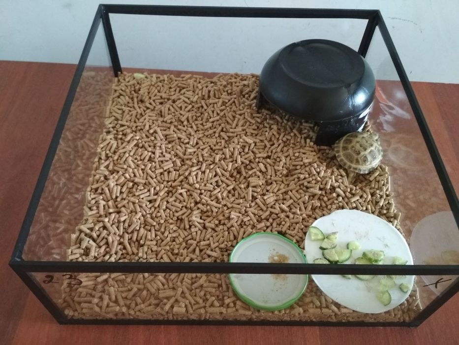 Аквариум террариум для сухопутных черепах