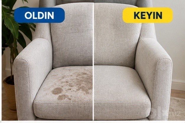 Divan va Mebel Tozalash