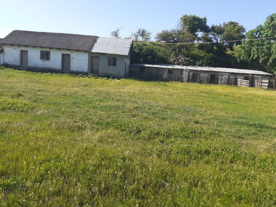 Anunt vanzare ferma Arges