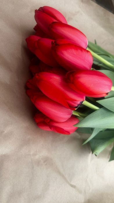 Тюльпаны оптом Алматы  Свежие к 8 Марта