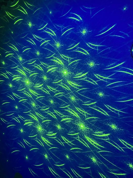 Proiector Jocuri de Lumini Laser/LED Disco Party ,Targetone