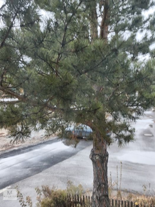Сдам квартиру 3х на 6 человек