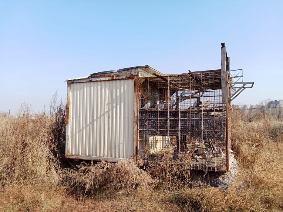 Продам голубятню