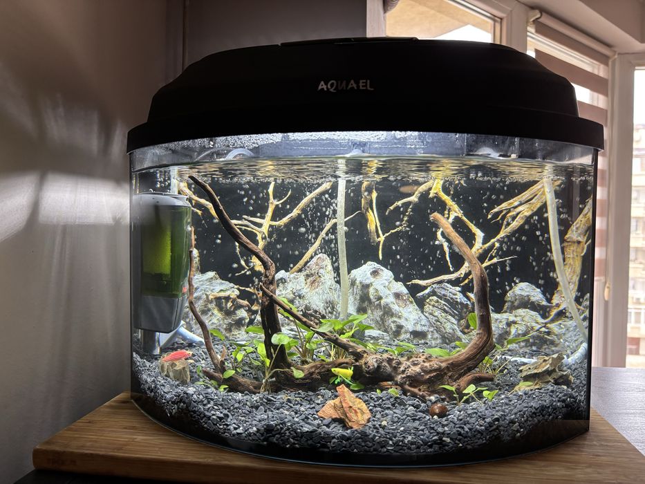 оборудван аквариум 25 литра