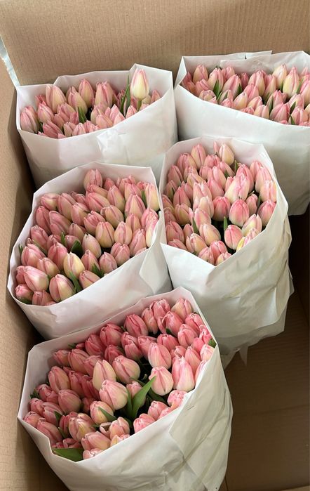 Тюльпаны оптом и в розницу клубника в шоколаде