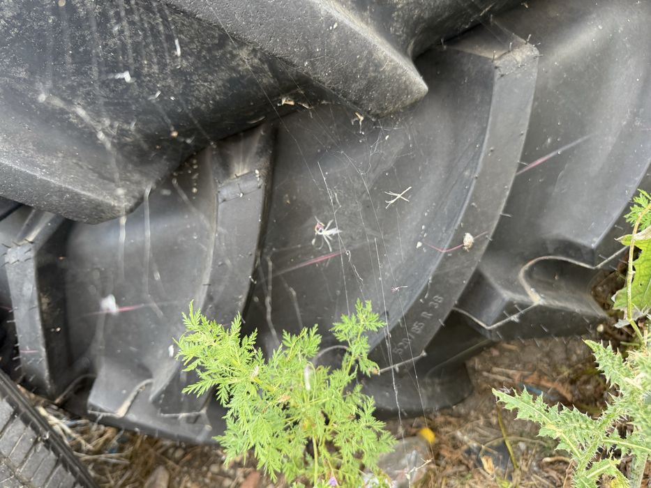 Чисто нови 520/85R38  митас
