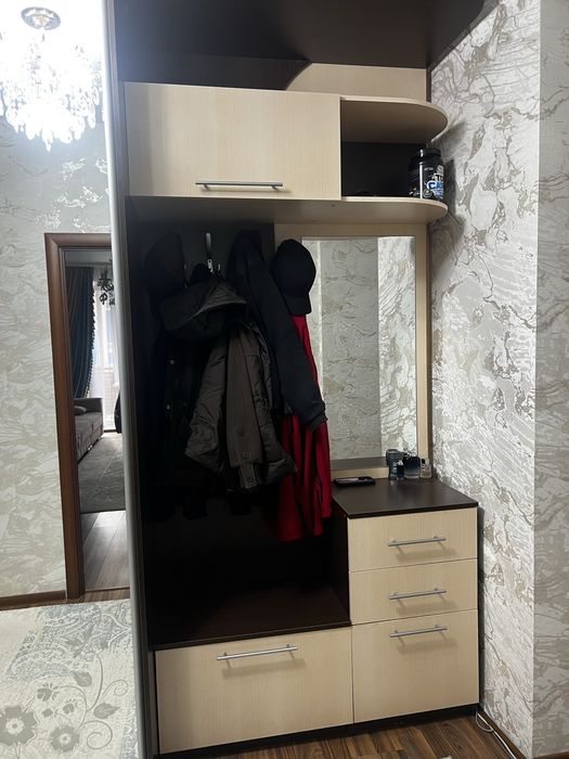 Стильный шкаф-купе с зеркалом и рисунком