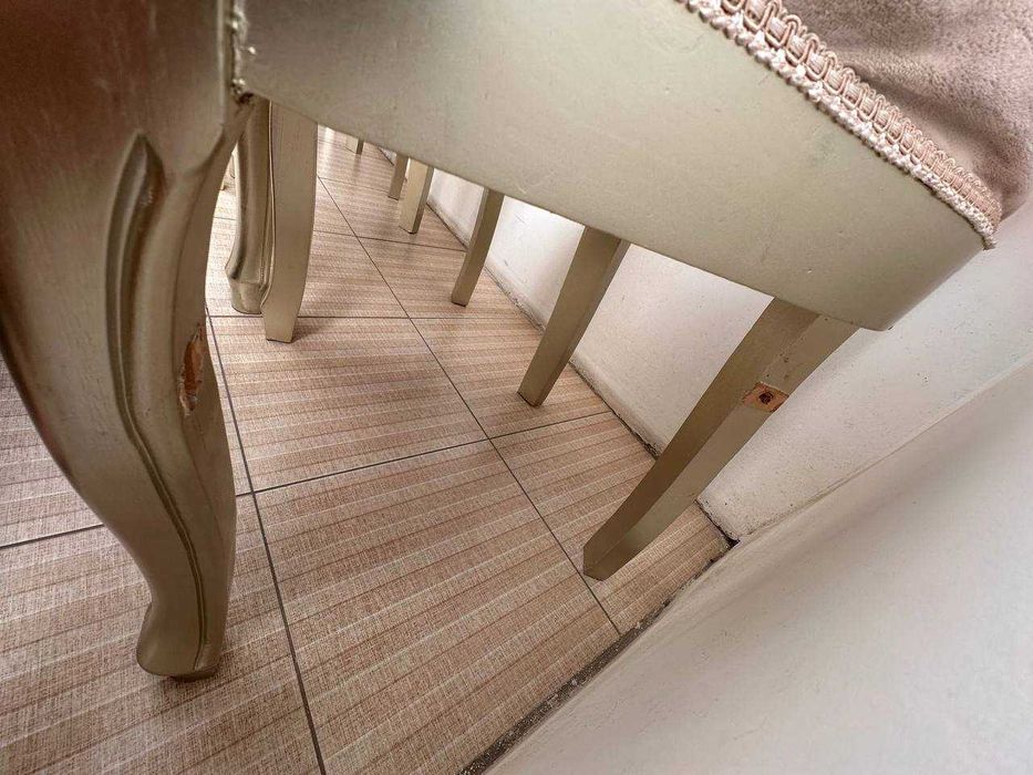 Гостевой стол и 8 стульев