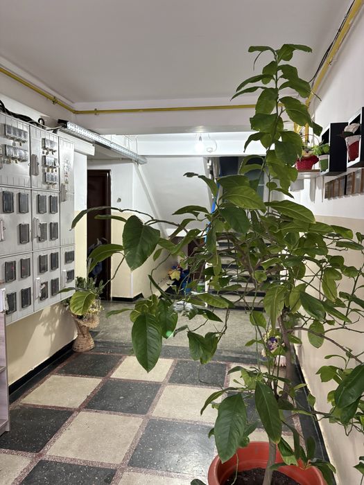 Vand apartament 2 camere parter Oltenita